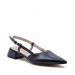 Francy Décolleté Ballerina with Black Strap