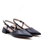 Francy Décolleté Ballerina with Black Strap